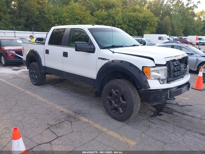 FORD F-150 2009