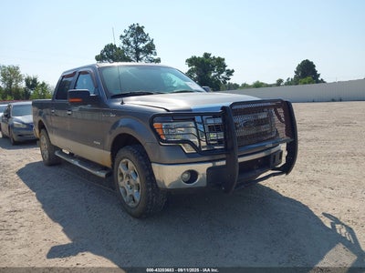 FORD F-150 2013
