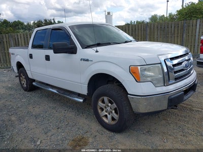 FORD F-150 2010