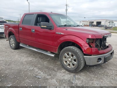 FORD F-150 2014