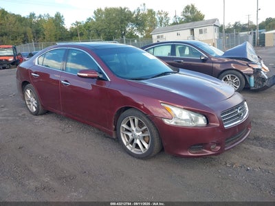 NISSAN MAXIMA 2010