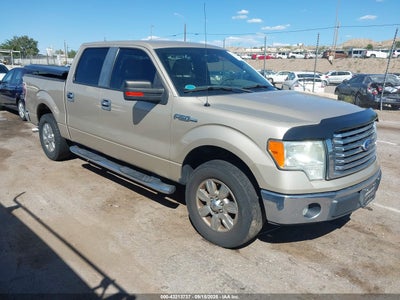 FORD F-150 2010