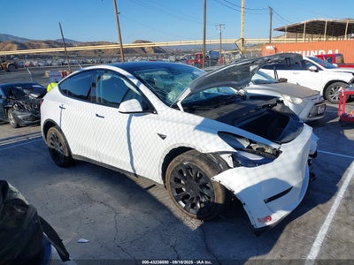 TESLA MODEL Y 2024