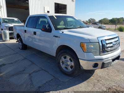 FORD F-150 2010