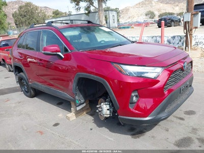 TOYOTA RAV4 HYBRID 2024