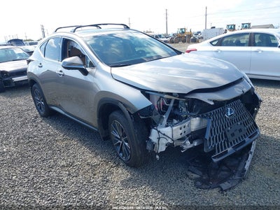 LEXUS NX 2025