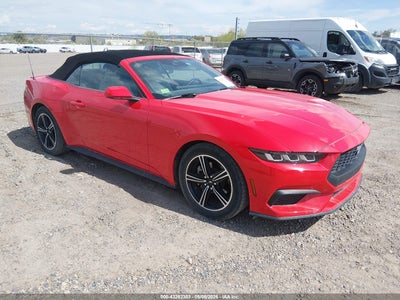 FORD MUSTANG 2024