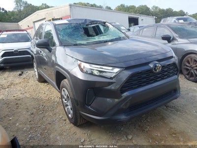 TOYOTA RAV4 2024
