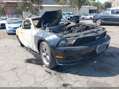 FORD MUSTANG 2010