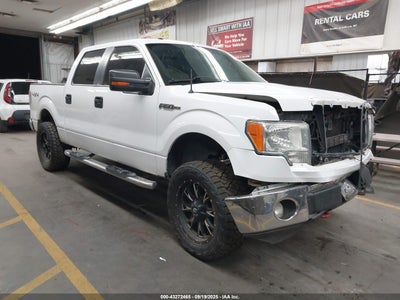 FORD F-150 2014