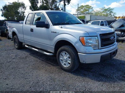 FORD F-150 2013
