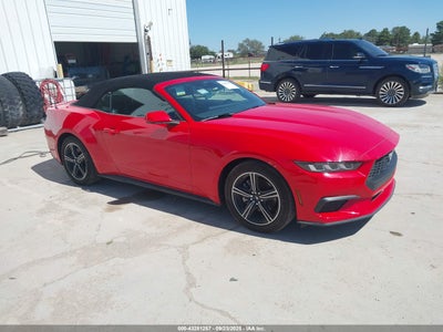 FORD MUSTANG 2024