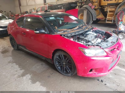 SCION TC 2013