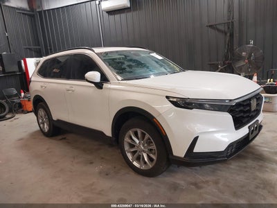 HONDA CR-V 2024