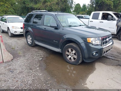 FORD ESCAPE HYBRID 2010
