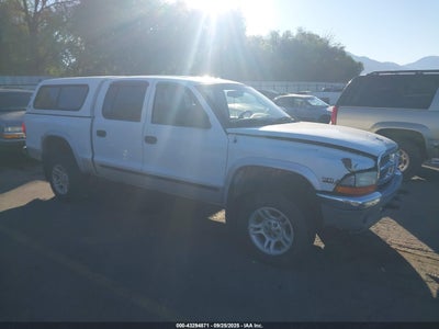 DODGE DAKOTA 2001