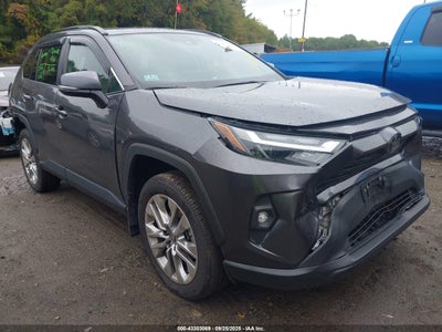 TOYOTA RAV4 2024