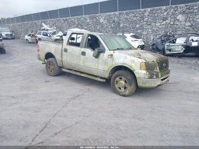 FORD F-150 2006