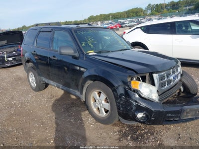 FORD ESCAPE 2010