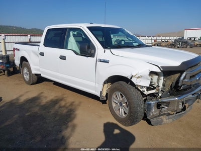 FORD F-150 2015