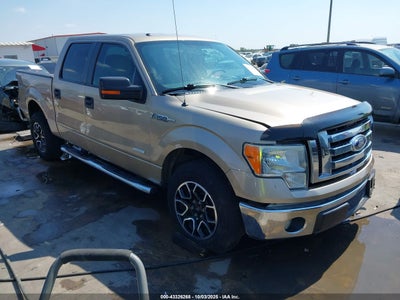 FORD F-150 2012