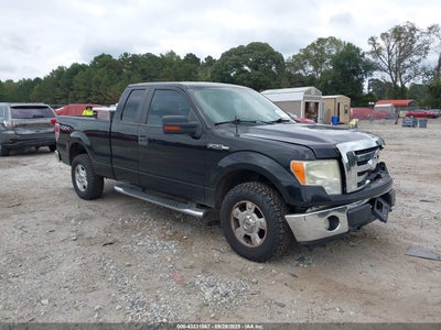 FORD F-150 2009