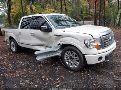 FORD F-150 2009