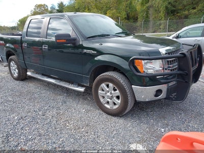 FORD F-150 2013