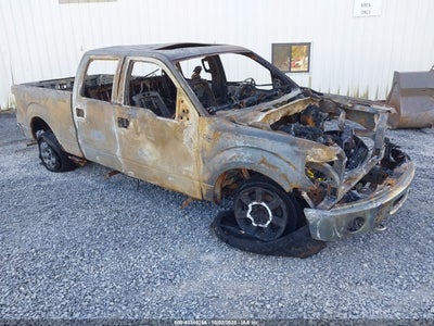 FORD F-150 2011
