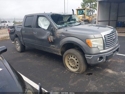 FORD F-150 2011