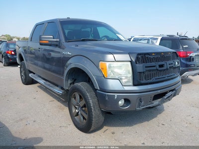 FORD F-150 2010