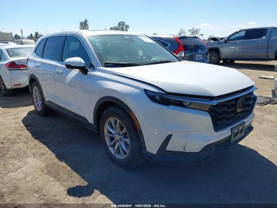 HONDA CR-V 2024