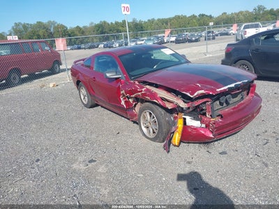 FORD MUSTANG 2005