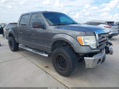 FORD F-150 2013