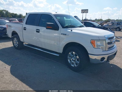 FORD F-150 2013