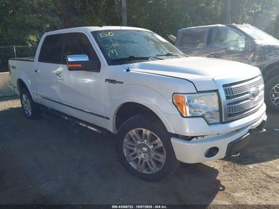 FORD F-150 2010