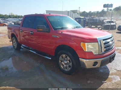 FORD F-150 2009