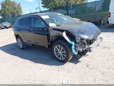HONDA CR-V 2024