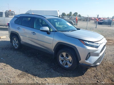 TOYOTA RAV4 2024
