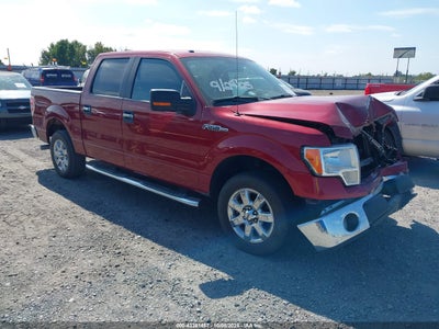 FORD F-150 2014