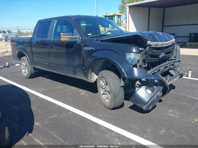 FORD F-150 2013