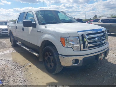 FORD F-150 2010