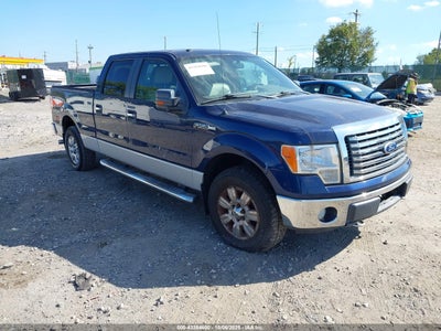 FORD F-150 2010