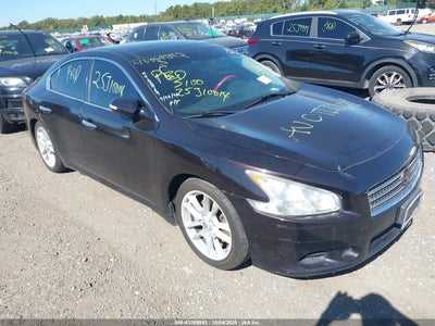 NISSAN MAXIMA 2010