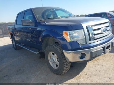 FORD F-150 2012