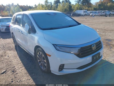 HONDA ODYSSEY 2022