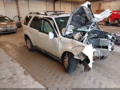 FORD ESCAPE 2010