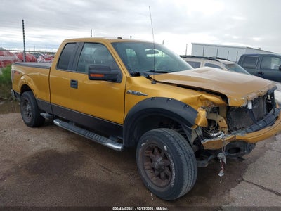 FORD F-150 2009