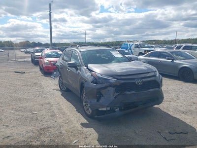 TOYOTA RAV4 2024