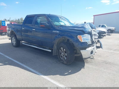 FORD F-150 2013